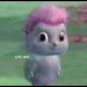 Meet your Posher, Ali